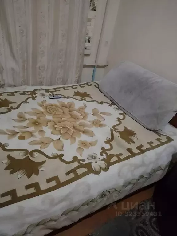 Комната Челябинская область, Челябинск Российская ул., 41 (18.0 м) - Фото 2