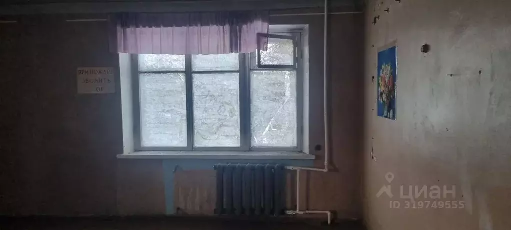 Помещение свободного назначения в Камчатский край, Елизовский ... - Фото 1
