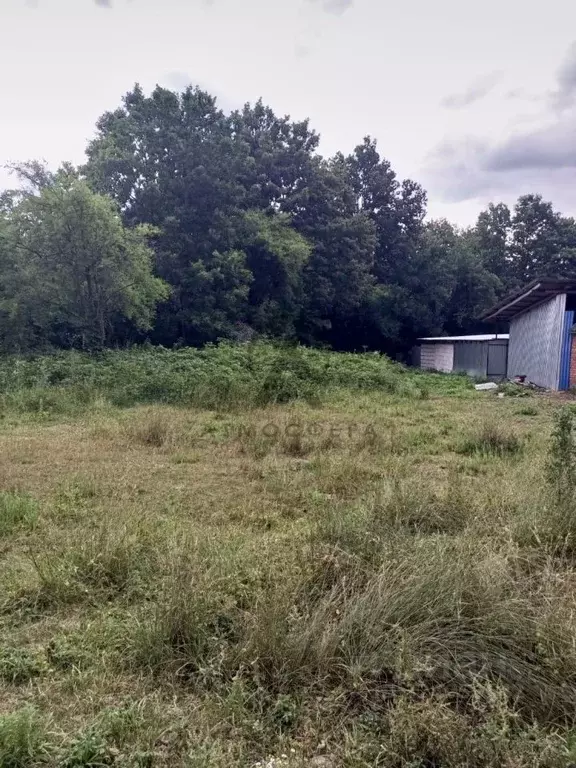 Участок в Краснодарский край, Апшеронское городское поселение, Зазулин ... - Фото 1