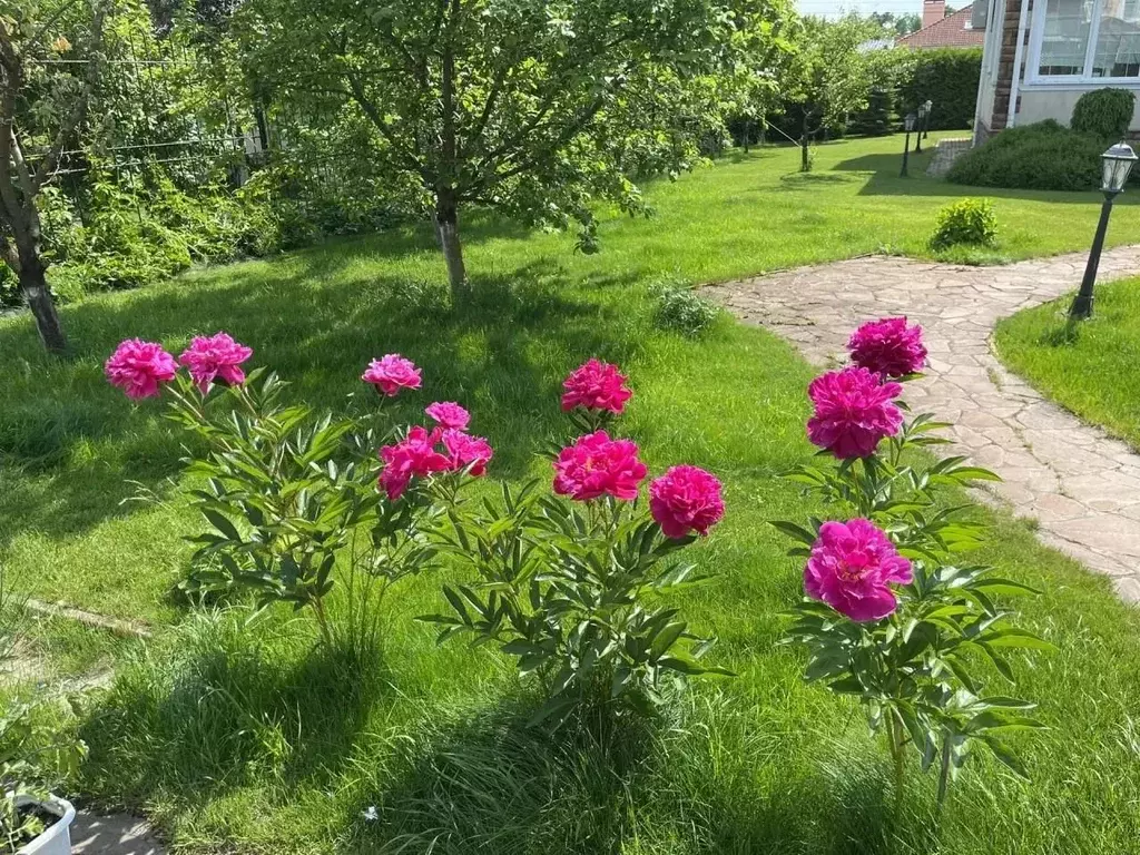 Коттедж в Москва д. Кукшево, ул. Добрососедская, 16к3 (255 м) - Фото 1