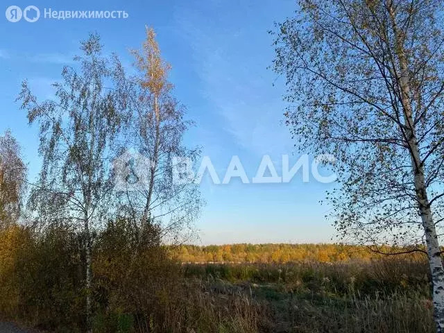 Участок в муниципальное образование Второвское, деревня Близнино ... - Фото 1