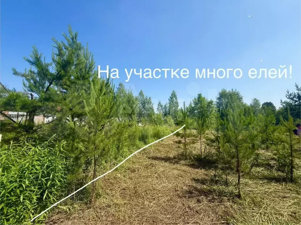 Участок 11,5 сот. (СНТ, ДНП) - Фото 0