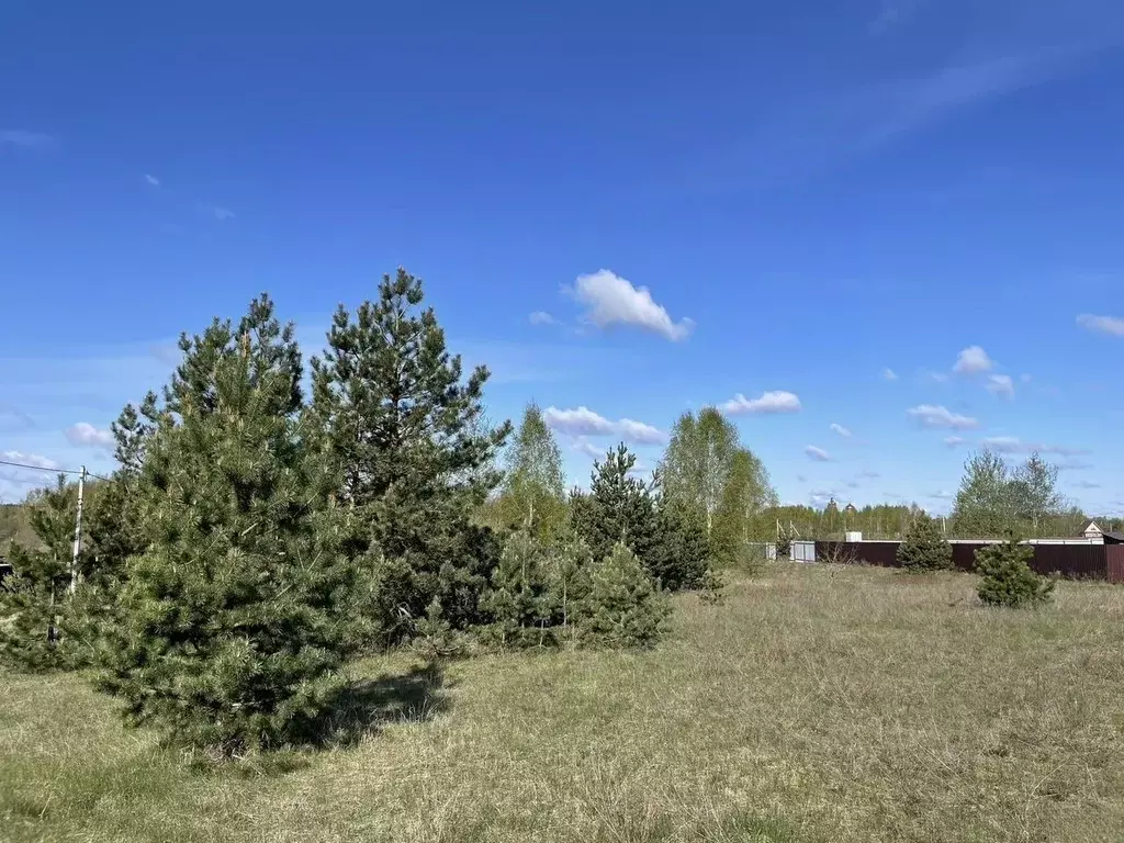 Участок в Московская область, Егорьевск муниципальный округ, д. ... - Фото 2