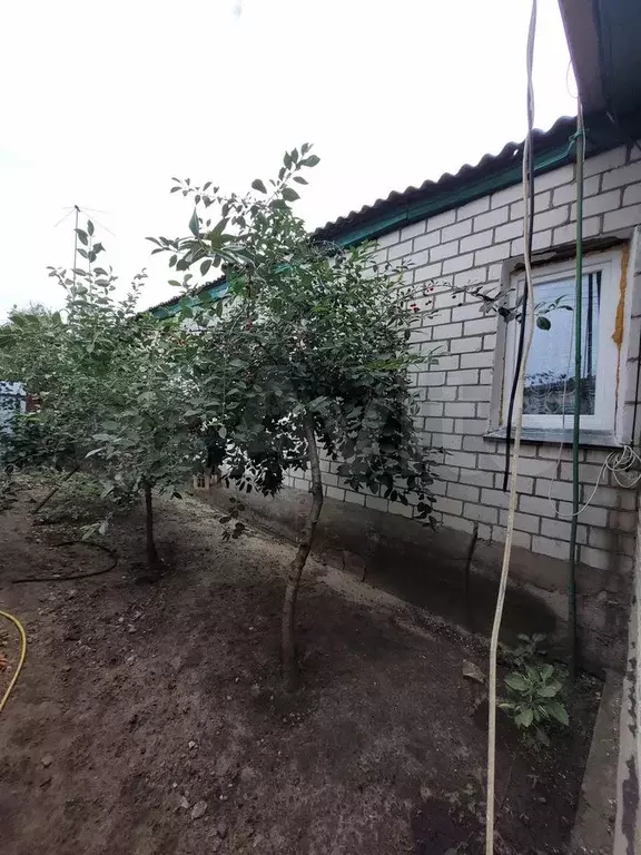 Дом 60 м на участке 1 сот. - Фото 0
