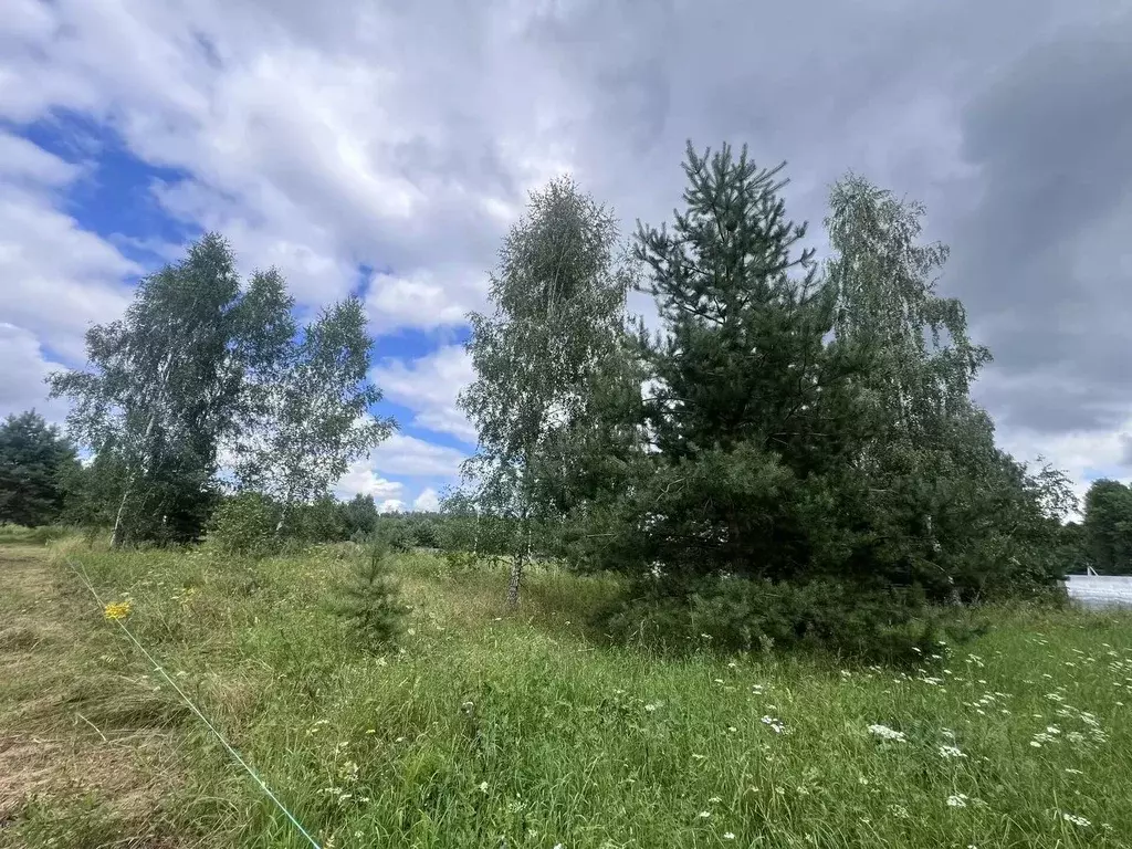 Участок в Калужская область, Калуга городской округ, д. Андреевское ... - Фото 2