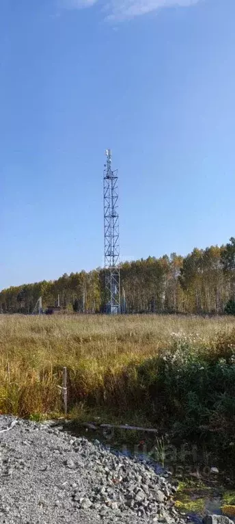 Участок в Свердловская область, Полевской муниципальный округ, с. ... - Фото 2