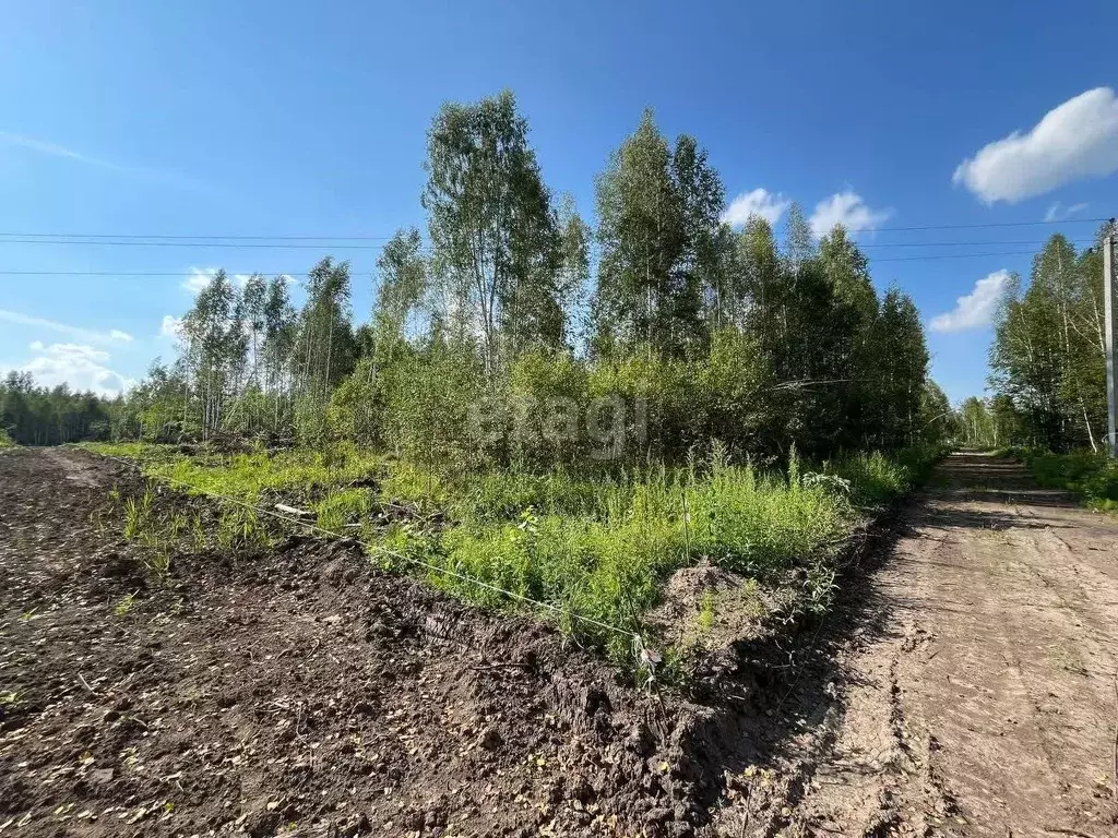 Участок в Новосибирская область, Новосибирский район, Станционный ... - Фото 1