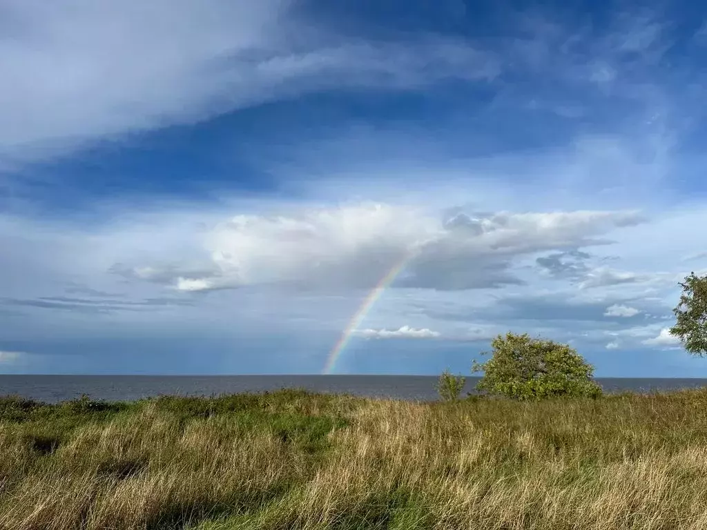 Дом в Новгородская область, Старорусский район, Наговское с/пос, д. ... - Фото 1