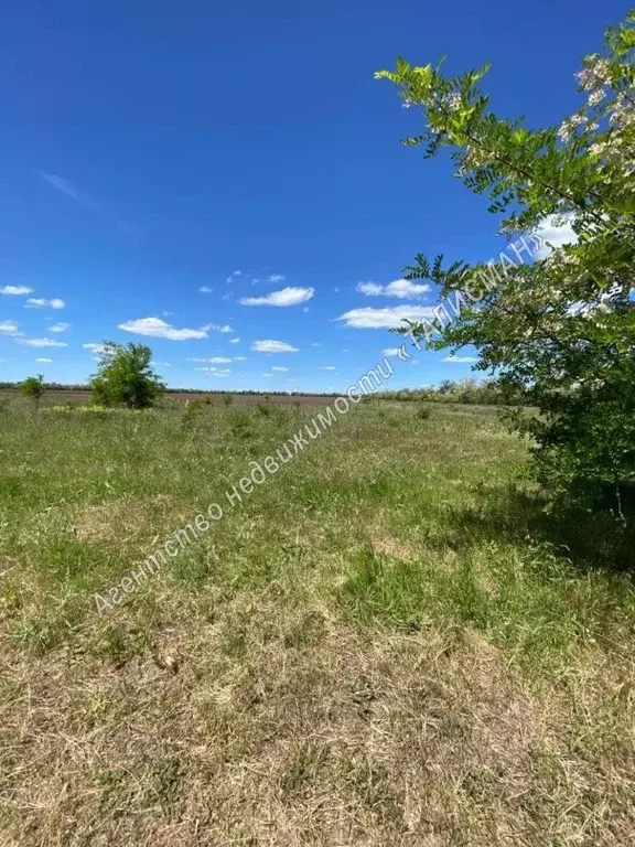 Участок в Ростовская область, Неклиновский район, Новобессергеневское ... - Фото 1