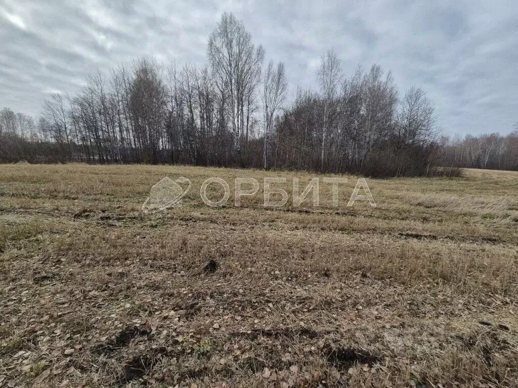 Участок в Тюменская область, Тюмень СОСН Плодовое тер., ул. Березовая ... - Фото 1