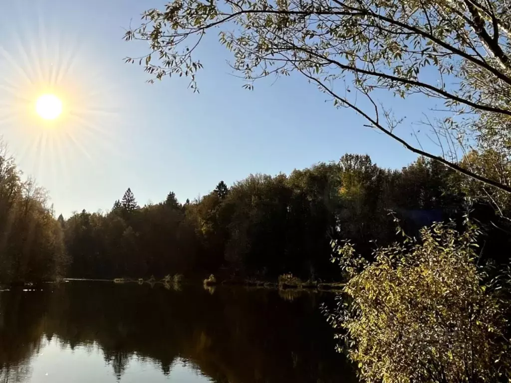 Участок в Тульская область, Ясногорский район, Иваньковское с/пос, д. ... - Фото 2