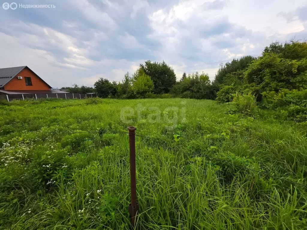 Участок в деревня Добрунь, садоводческое некоммерческое товарищество ... - Фото 2