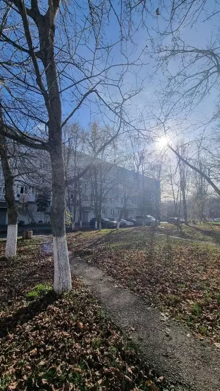 1-к кв. Ставропольский край, Ставрополь № 28 мкр, проезд Фестивальный, ... - Фото 2