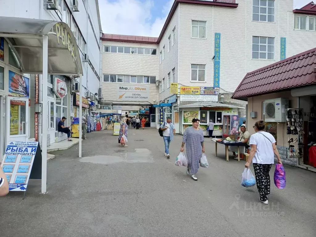 Помещение свободного назначения в Краснодарский край, Новороссийск ул. ... - Фото 1