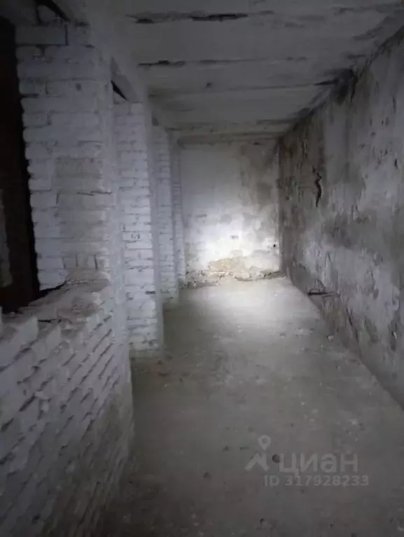 Помещение свободного назначения в Брянская область, Брянск ... - Фото 0