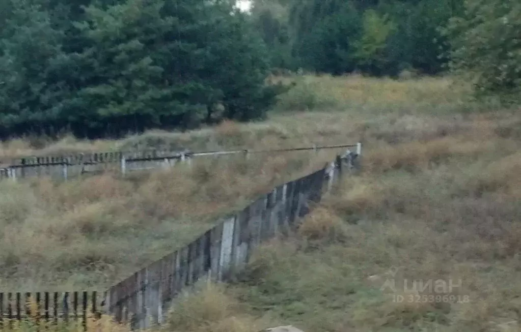 Участок в Волгоградская область, Волжский Мичуринец СНТ, ул. ... - Фото 1