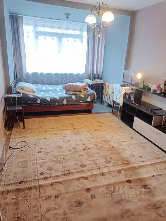 1-к кв. Краснодарский край, Сочи Центральный мкр, ул. Парковая, 34 ... - Фото 1