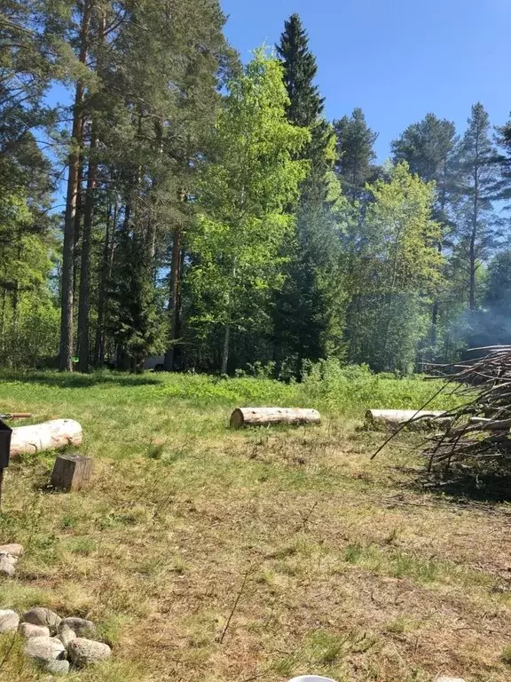 Участок в Ленинградская область, Приозерский район, Громовское с/пос  ... - Фото 1