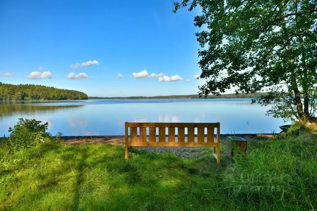 Участок в Ленинградская область, Выборгский район, Приморское ... - Фото 2