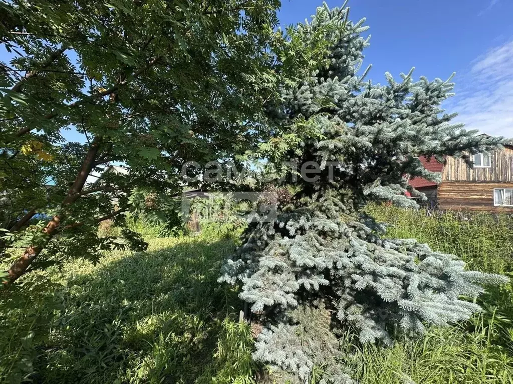 Участок в Иркутская область, Иркутск Рассвет СНТ, ул. Вторая, 8 (6.0 ... - Фото 2