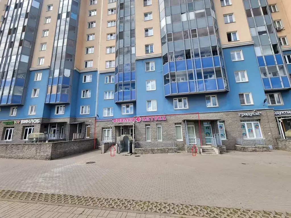 Помещение свободного назначения в Санкт-Петербург ул. Белышева, 5/6 ... - Фото 1