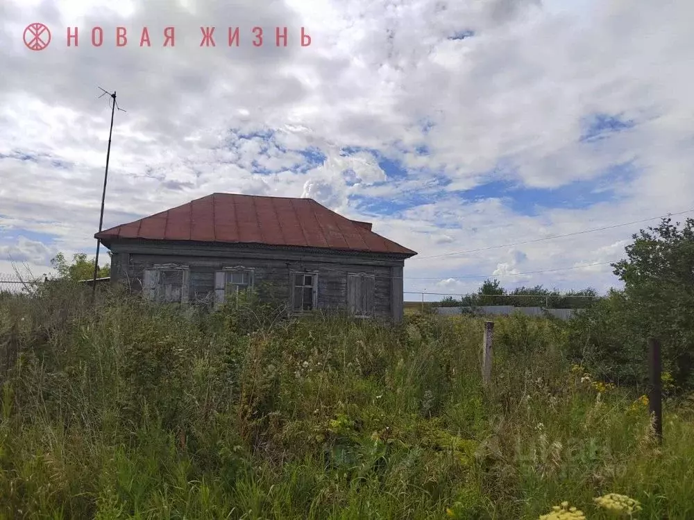 Дом в Самарская область, Красноярский район, Шилан с/пос, с. Чапаево ... - Фото 1