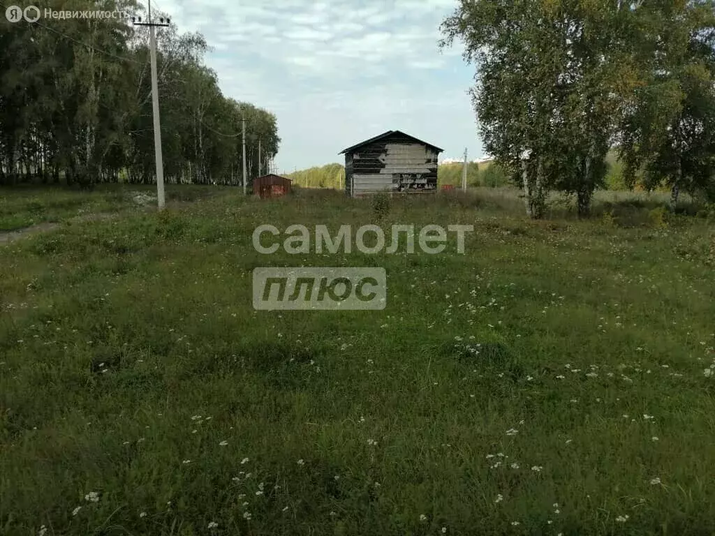 Участок в Новосибирская область, Бердск (10 м) - Фото 1