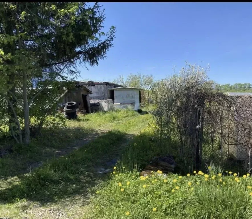 Участок в Ленинградская область, Ломоносовский район, Горбунковское ... - Фото 2