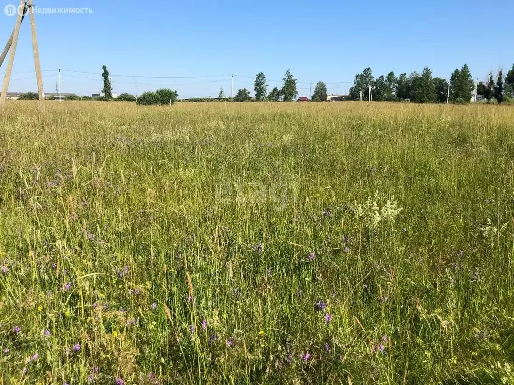 Участок в Кусино, Школьная улица (20 м) - Фото 0