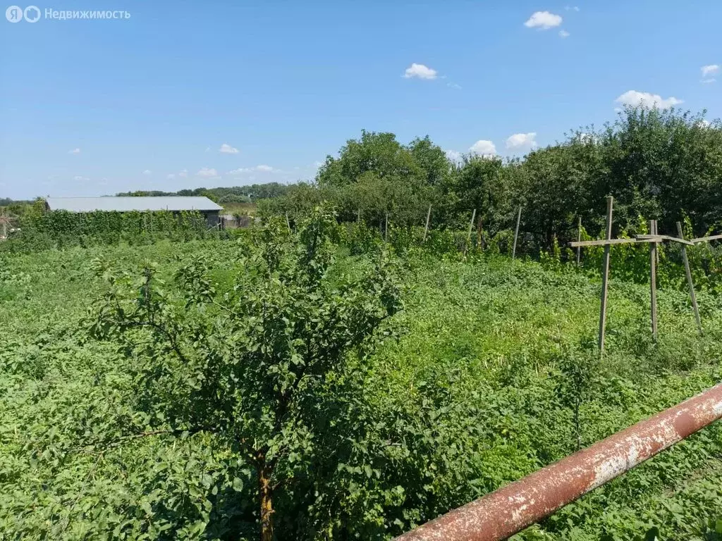 Дом в хутор Армянский, улица Миронова, 157 (286.5 м) - Фото 1