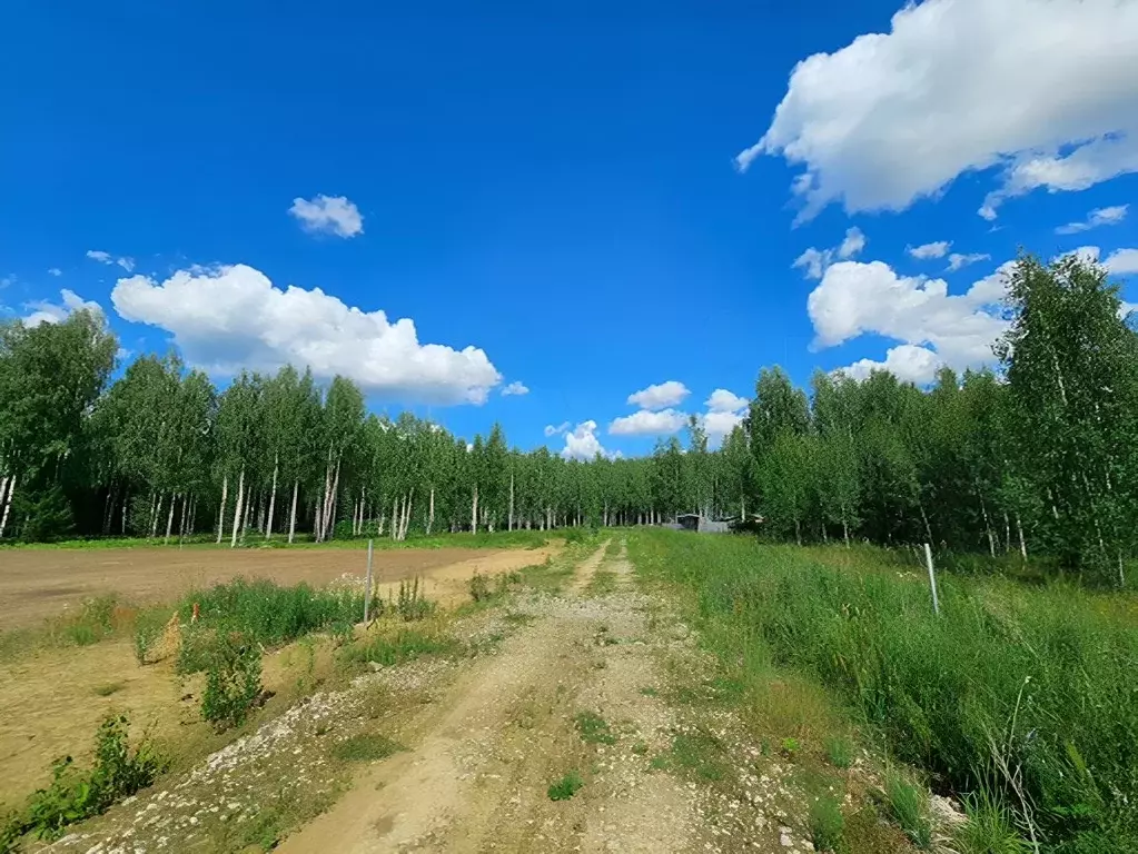 Участок в Ленинградская область, Тосненский район, Любанское городское ... - Фото 0