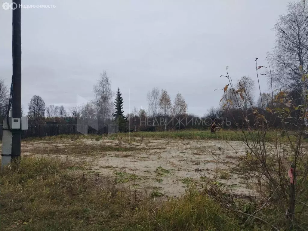 Участок в Тюменская область, Нижнетавдинский муниципальный округ, ... - Фото 2