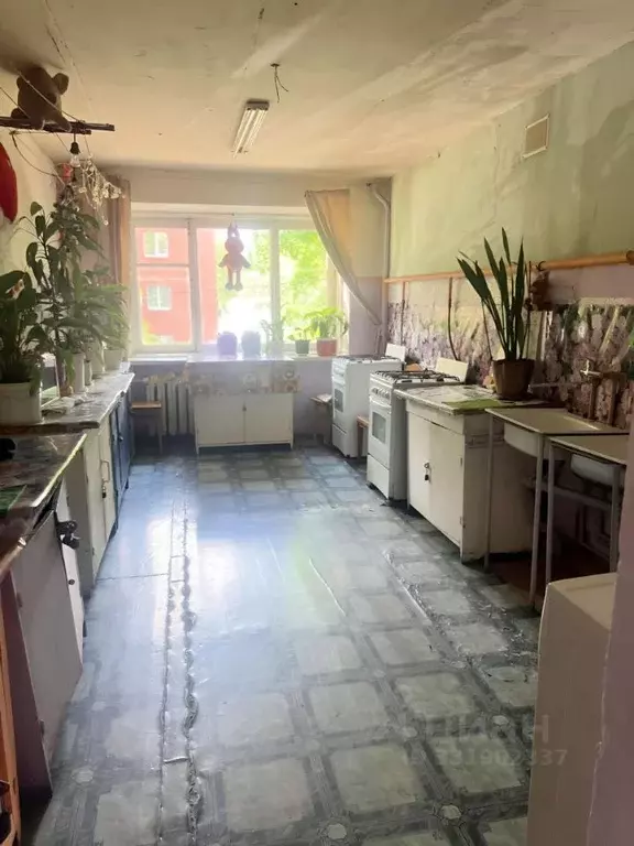 Комната Курская область, Курск ул. 2-я Рабочая, 10А/3 (13.0 м) - Фото 2