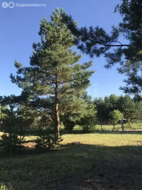 Участок в Рамонский район, Айдаровское сельское поселение, СНТ Роща ... - Фото 2