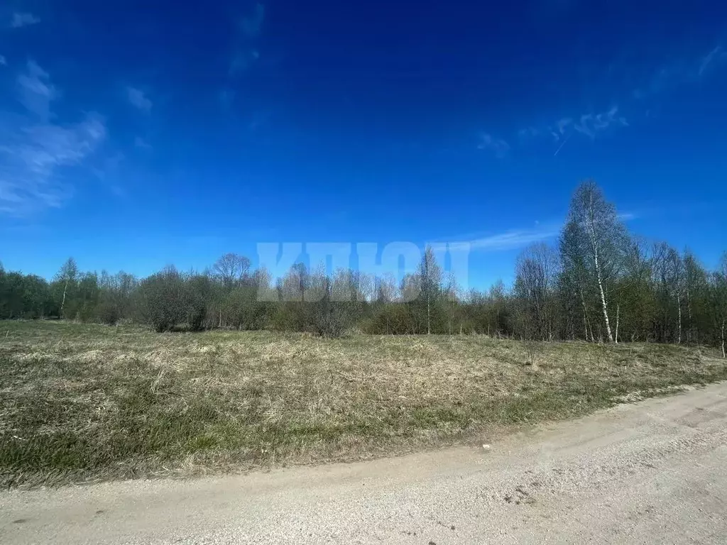 Участок в Вологодская область, Сокольский муниципальный округ, с. ... - Фото 2