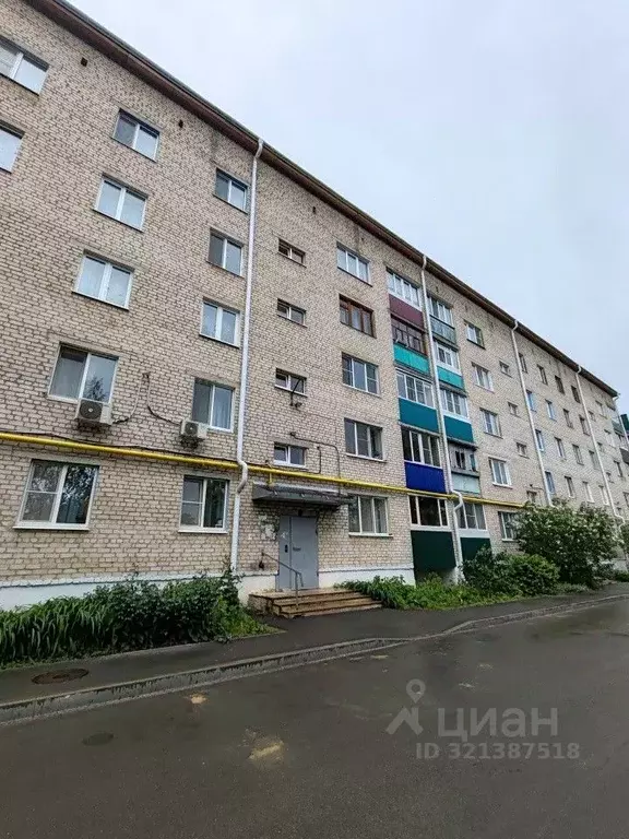2-к кв. Орловская область, Мценск Ефремовская ул., 7 (48.9 м) - Фото 1