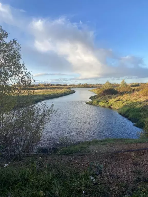 Дом в Новгородская область, Шимский муниципальный район, Подгощское ... - Фото 2