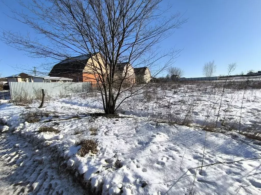 Участок в Воронежская область, Рамонский район, с. Ямное  (6.73 сот.) - Фото 2