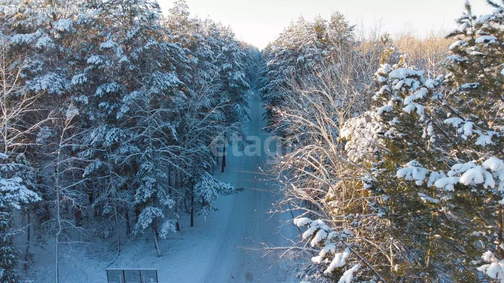 Участок в Тюменский район, деревня Криводанова (50.1 м) - Фото 1