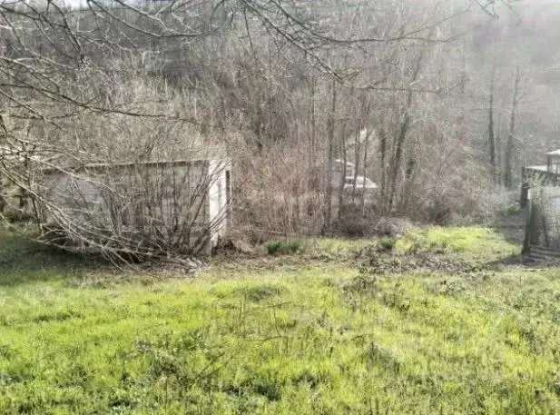 Участок в Краснодарский край, Геленджик городской округ, Строитель СТ  ... - Фото 2