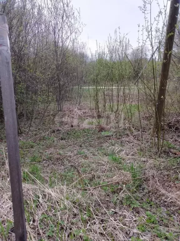 Участок в Вологодская область, Кирилловский муниципальный округ, д. ... - Фото 1