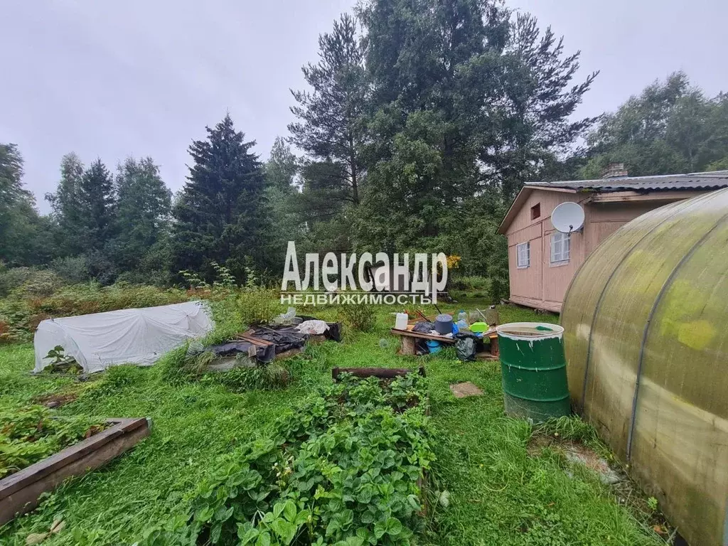 Участок в Ленинградская область, Приозерский район, Мельниковское ... - Фото 2