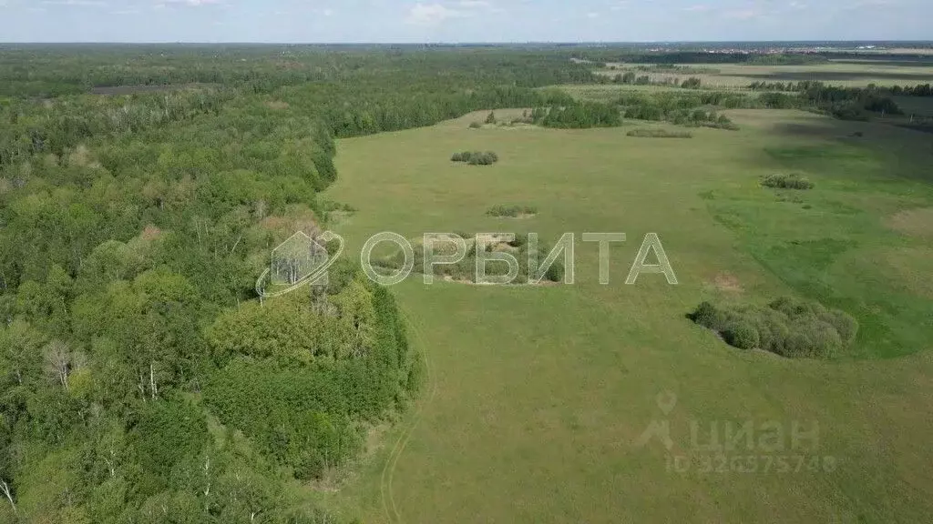 Участок в Тюменская область, Тюменский муниципальный округ, с. Ембаево ... - Фото 2