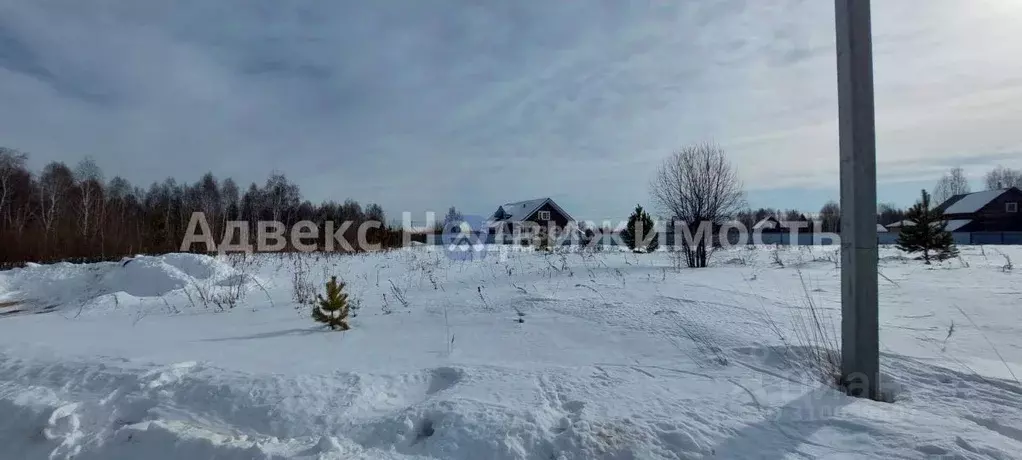 Участок в Тюменская область, Нижнетавдинский район, с. Иска ул. ... - Фото 0