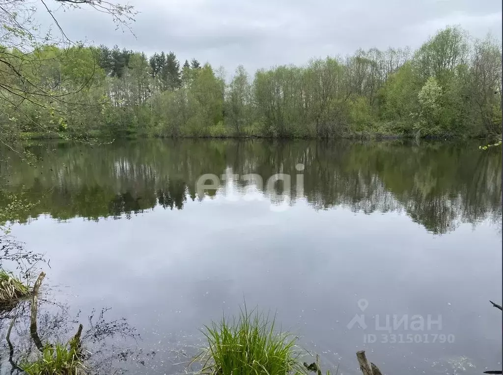 Участок в Костромская область, Кострома Ивушка СНТ,  (5.44 сот.) - Фото 1
