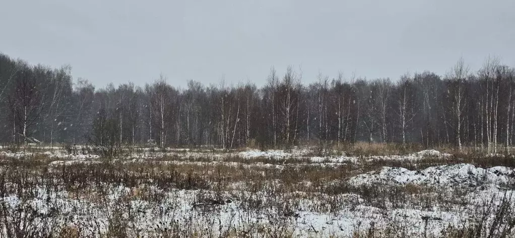 Участок в Московская область, Чехов городской округ, Новое Жальское кп ... - Фото 1