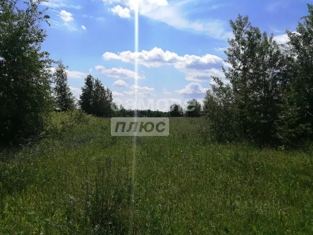 Участок в Рязанская область, Пронский муниципальный округ, д. Ивашково ... - Фото 2