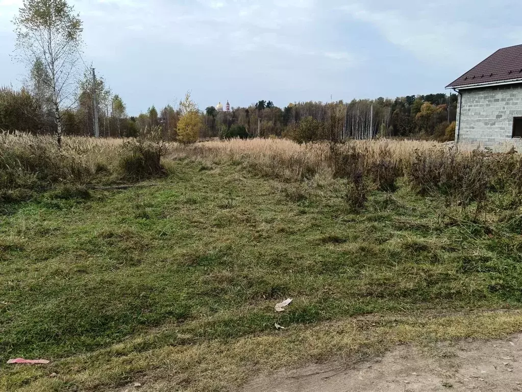 Участок в Владимирская область, Александровский муниципальный округ, ... - Фото 1