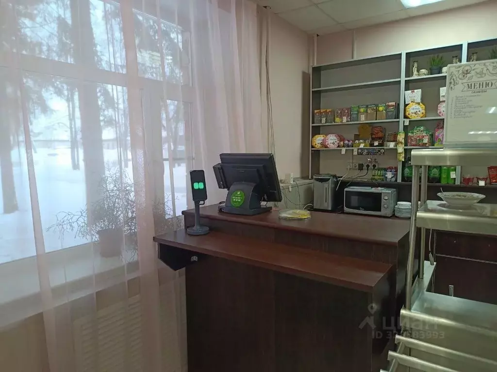 Помещение свободного назначения в Нижегородская область, Лысково ул. ... - Фото 1