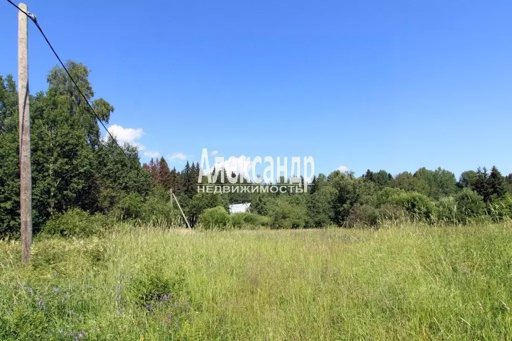 Участок в Ленинградская область, Выборгский район, Селезневское с/пос, ... - Фото 2